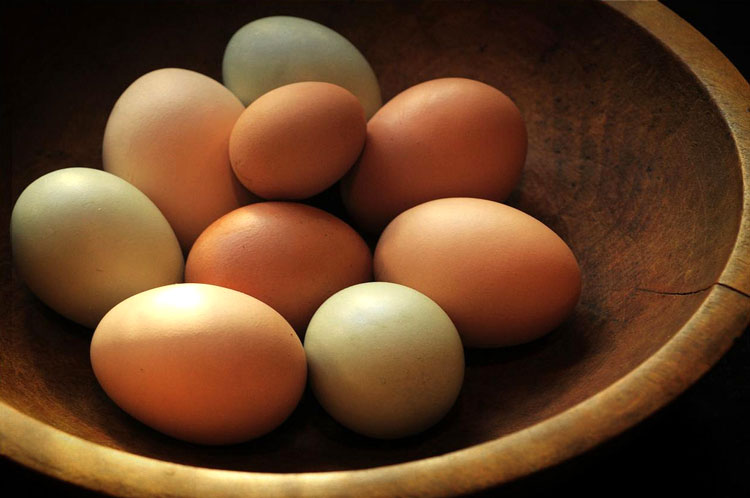 полезные ли яйца