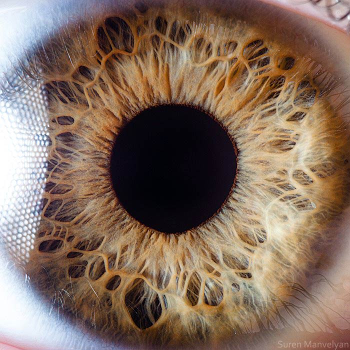фотографии глаз человека
